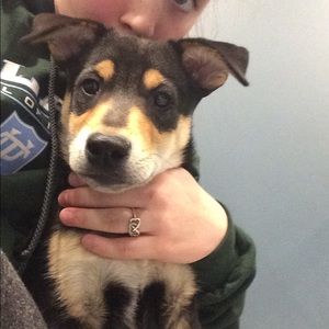 Meet your Posher, Haley